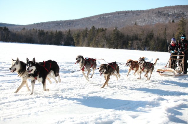 kids with cancer team up with sled dogs to take on the great white nor