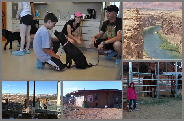 take an animal adventure by going on a vacation that helps pets in nee
