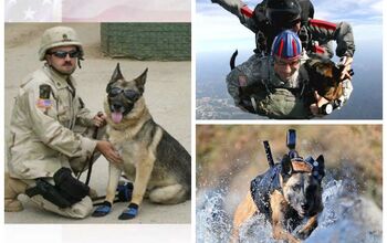 Petco Foundation Donates Fitting Tribute To Overseas War Dogs