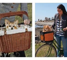 Pedal Pooches Ride Snug And Comfy In Hip Dog Bike Baskets