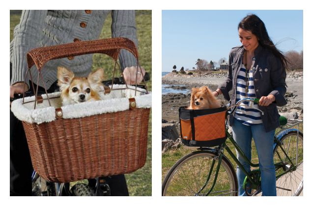 pedal pooches ride snug and comfy in hip dog bike baskets