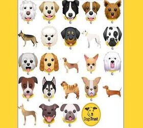 Text A Woof: Dogs Trust Launches First Ever Canine Emojis