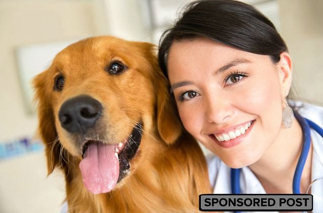 complete pet survey and qualify for a unique pet supplement and a 10 visa gift card