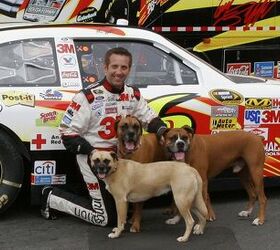 Vroom, Vroom! NASCAR Pet Calendar Revs Up To Help Pets In Need