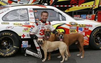Vroom, Vroom! NASCAR Pet Calendar Revs Up To Help Pets In Need