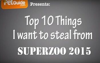 Top 10 Things I Want To Steal From SuperZoo 2015 [Video]