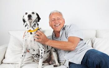 New Study Will Focus On Benefits Of Pets For Older Americans
