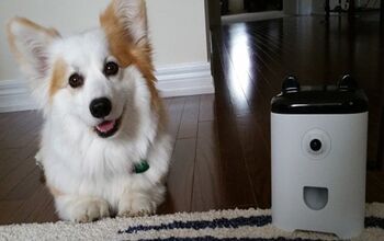 PetBot Petcam Lets You Dole Out Treats And Take Pet Selfies