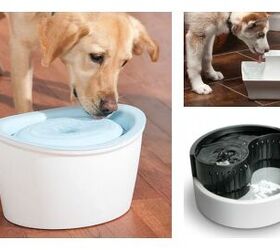 DINY Home & Style Chilled Pet Cooler Bowl Keeps Water Cool Fresh Hours Dogs & Cats 