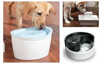 Pros And Cons Of Continuous Water Fountains For Pets