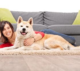 Study Says That Pet Type Says A Lot About You