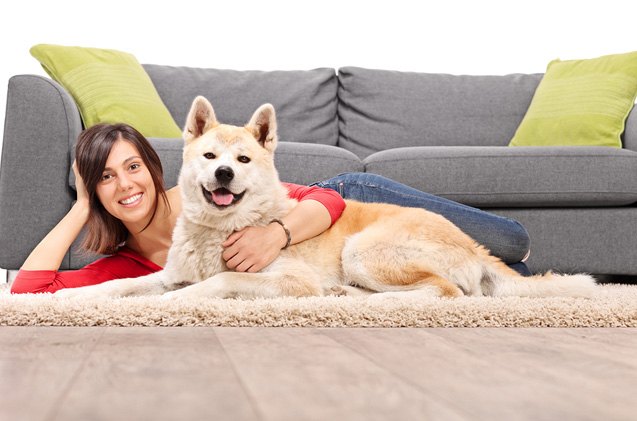 study says that pet type says a lot about you