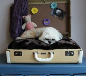 diy vintage suitcase dog bed