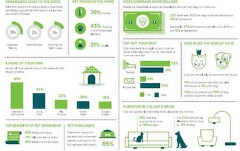 Houzz Survey Says That Pets Rule The Home