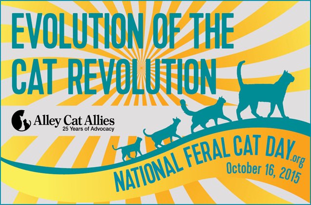 join the cat revolution and get involved on national feral cat day