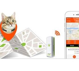 Follow Your Cat Wherever He Goes With Weenect Cat GPS