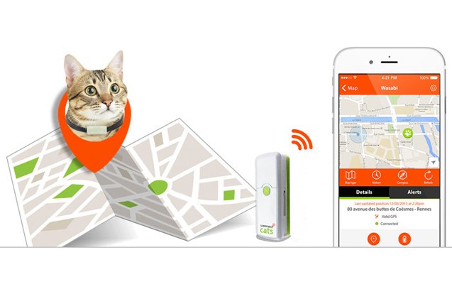 follow your cat wherever he goes with weenect cat gps