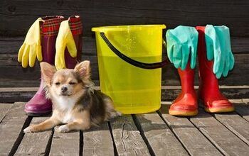 5 Benefits Of Using Homemade Dog Cleaning Products