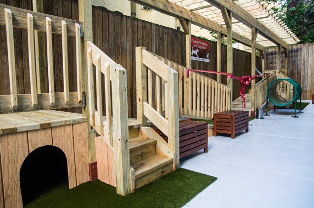 purina play haven opens at nyc domestic violence shelter