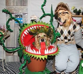 43 Best Dog Costume Ideas for a Happy Howl-oween
