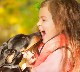 Study: Pets Help Lower The Risk Of Childhood Asthma