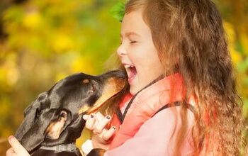 Study: Pets Help Lower The Risk Of Childhood Asthma
