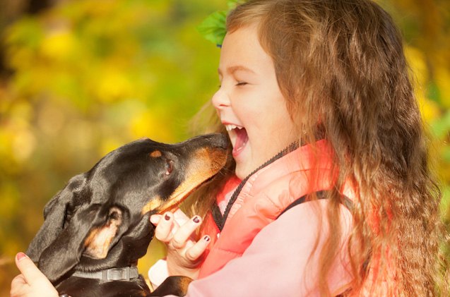 study pets help lower the risk of childhood asthma