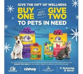 Wellness Teams With Jackson Galaxy Foundation To Feed Pets In Need