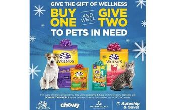Wellness Teams With Jackson Galaxy Foundation To Feed Pets In Need