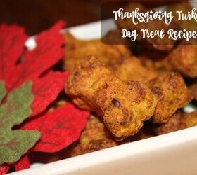 Thanksgiving Turkey Dog Treat Recipe