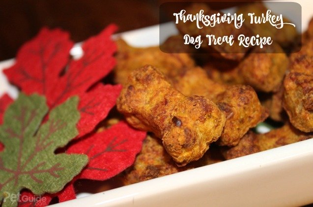thanksgiving turkey dog treat recipe