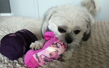 How-To: DIY Sock Dog Toys