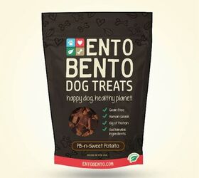 new noms cricket based dog treats packed with protein