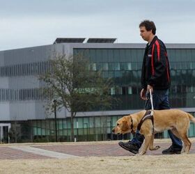 New Device Allows The Blind To Monitor Their Guide Dog