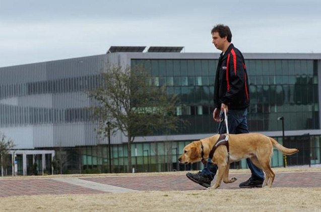 new device allows the blind to monitor their guide dog
