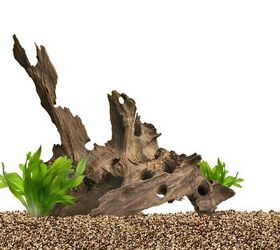How to Anchor Live Plants to Driftwood for a Natural Décor Scheme