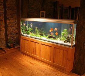 Watts Going On With Your Aquarium Lighting?