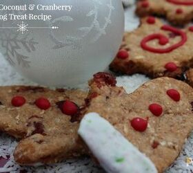Winter Coconut and Cranberry Dog Treat Recipe