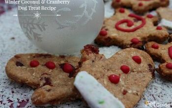 Winter Coconut and Cranberry Dog Treat Recipe