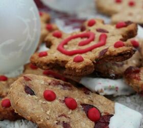 winter coconut and cranberry dog treat recipe