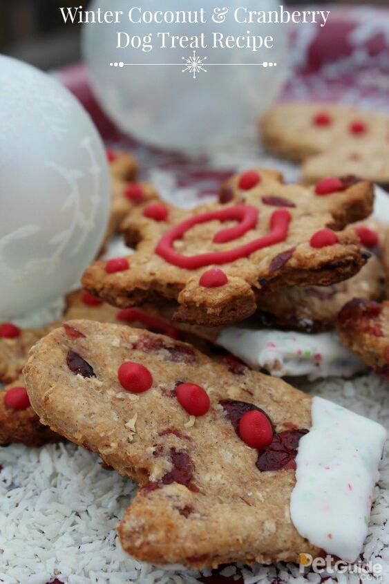 winter coconut and cranberry dog treat recipe