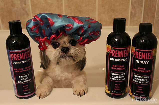 product review eqyss premier shampoo and conditioner