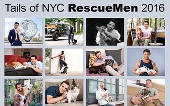 2016 Will Be A Hot Year, Thanks To Tails Of NYC Rescue Men Calendar