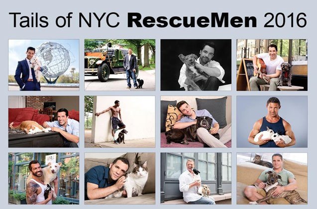 2016 will be a hot year thanks to tails of nyc rescue men calendar