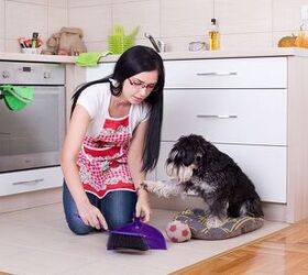 handy hacks for keeping your pet friendly house clean