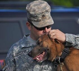 Special Delivery: Active Duty Military Dog Teams To Receive Care Packa