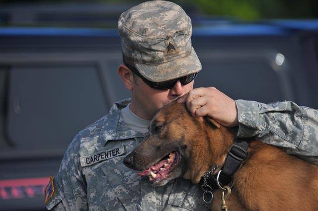 special delivery active duty military dog teams to receive care packa