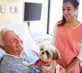 Visiting Hours Are Open For Pets At This Canadian Hospital