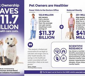 Research Shows Pet Ownership Saves $11.7 Billion In Health Care Costs