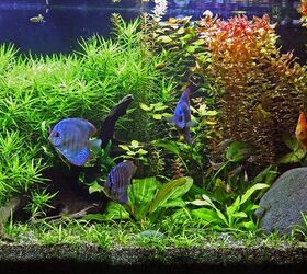 Setting a Schedule for Routine Tank Maintenance